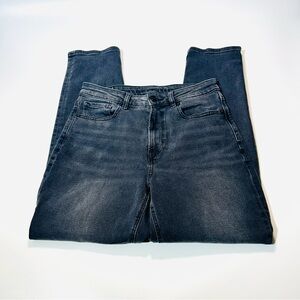American Eagle Outfitters jeans Mom jeans high rise jeans gray women size 6